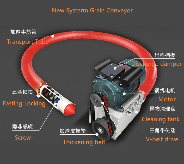 New Systerm Grain Conveyor